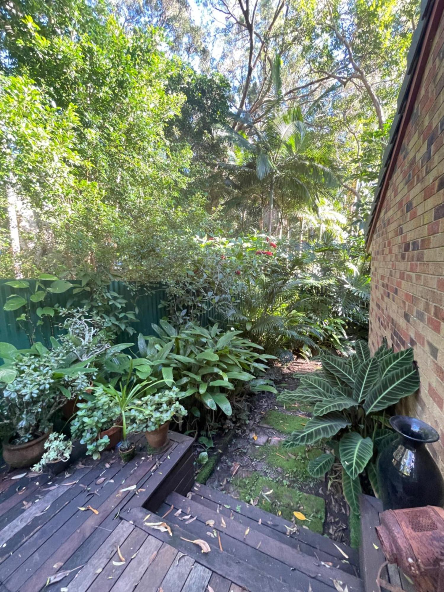 Lilli Pilli Guesthouse バイロンベイ エクステリア 写真
